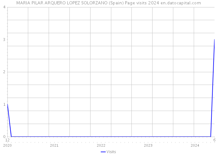 MARIA PILAR ARQUERO LOPEZ SOLORZANO (Spain) Page visits 2024 