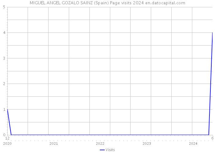 MIGUEL ANGEL GOZALO SAINZ (Spain) Page visits 2024 