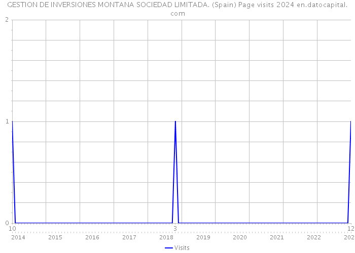 GESTION DE INVERSIONES MONTANA SOCIEDAD LIMITADA. (Spain) Page visits 2024 