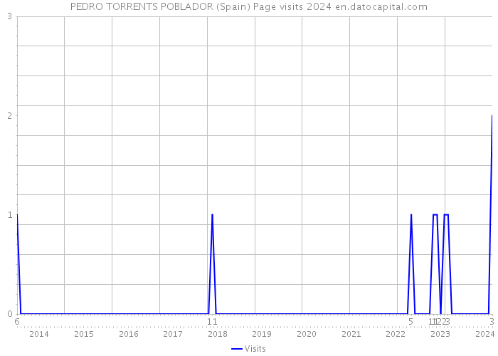 PEDRO TORRENTS POBLADOR (Spain) Page visits 2024 