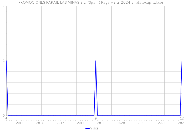 PROMOCIONES PARAJE LAS MINAS S.L. (Spain) Page visits 2024 