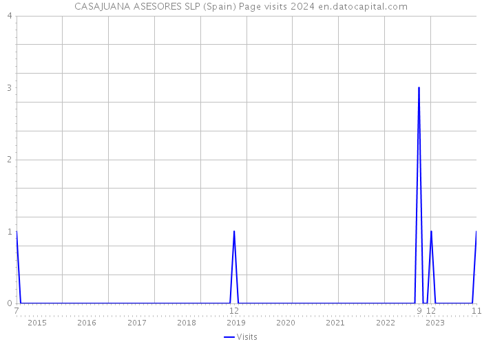 CASAJUANA ASESORES SLP (Spain) Page visits 2024 