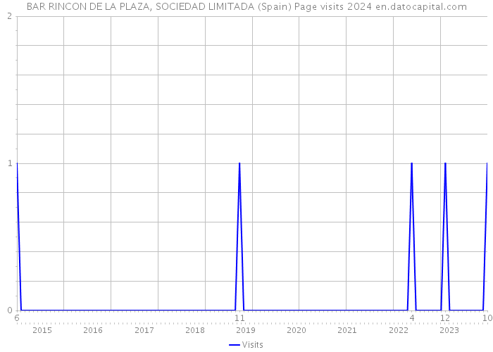 BAR RINCON DE LA PLAZA, SOCIEDAD LIMITADA (Spain) Page visits 2024 