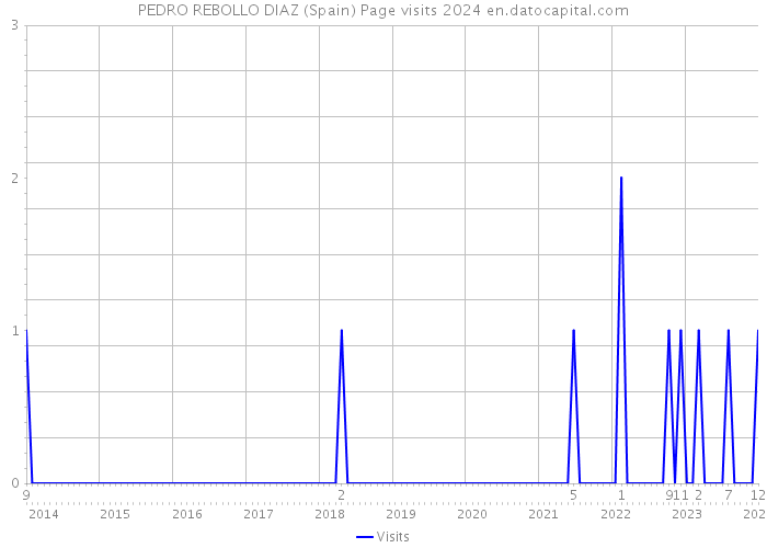 PEDRO REBOLLO DIAZ (Spain) Page visits 2024 