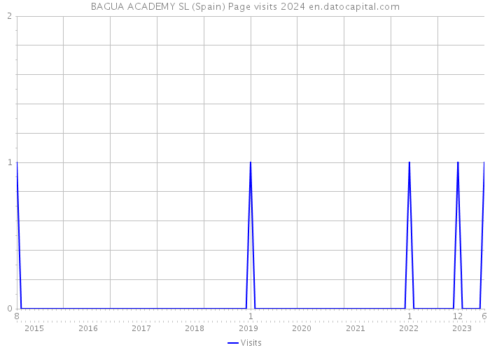 BAGUA ACADEMY SL (Spain) Page visits 2024 