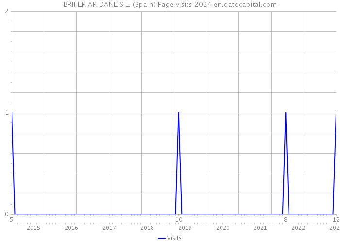 BRIFER ARIDANE S.L. (Spain) Page visits 2024 