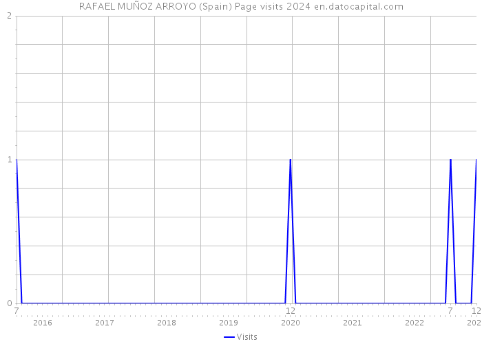 RAFAEL MUÑOZ ARROYO (Spain) Page visits 2024 