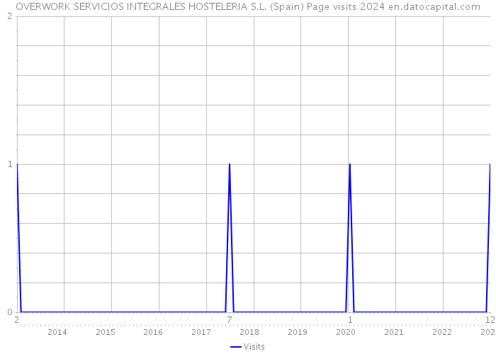 OVERWORK SERVICIOS INTEGRALES HOSTELERIA S.L. (Spain) Page visits 2024 