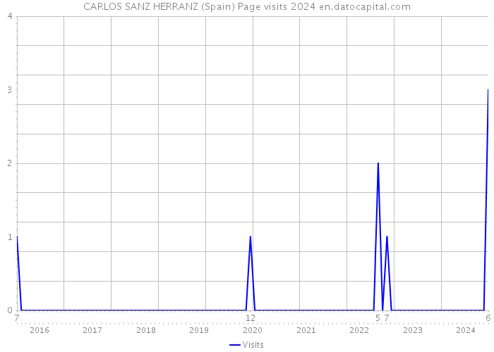 CARLOS SANZ HERRANZ (Spain) Page visits 2024 