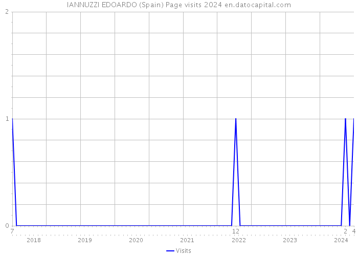 IANNUZZI EDOARDO (Spain) Page visits 2024 