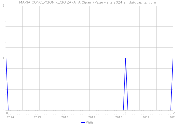 MARIA CONCEPCION RECIO ZAPATA (Spain) Page visits 2024 