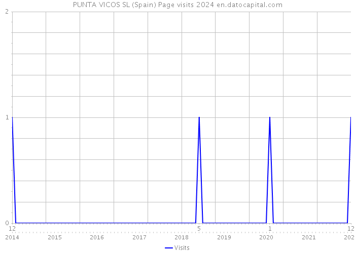 PUNTA VICOS SL (Spain) Page visits 2024 