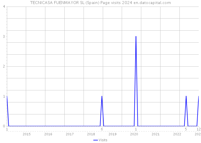 TECNICASA FUENMAYOR SL (Spain) Page visits 2024 