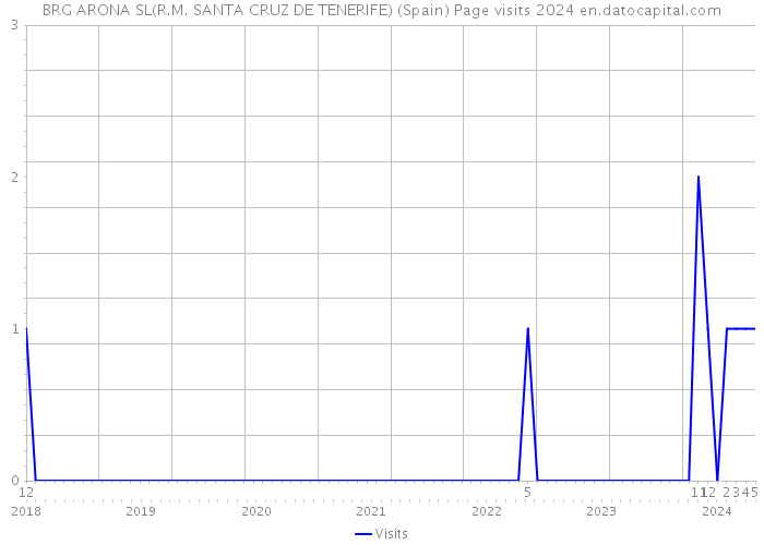 BRG ARONA SL(R.M. SANTA CRUZ DE TENERIFE) (Spain) Page visits 2024 