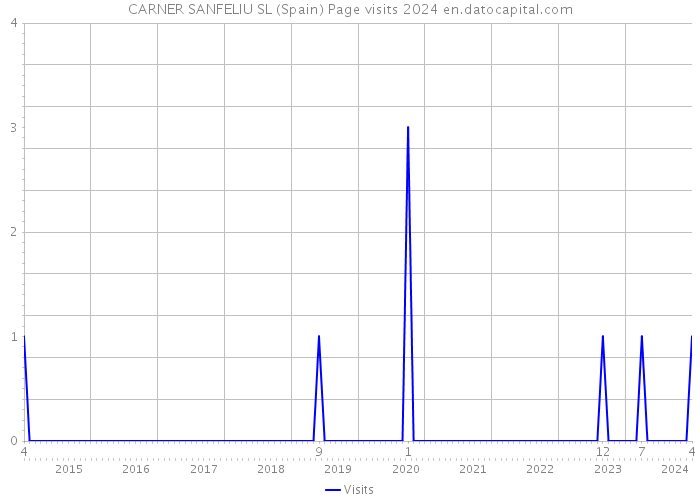 CARNER SANFELIU SL (Spain) Page visits 2024 