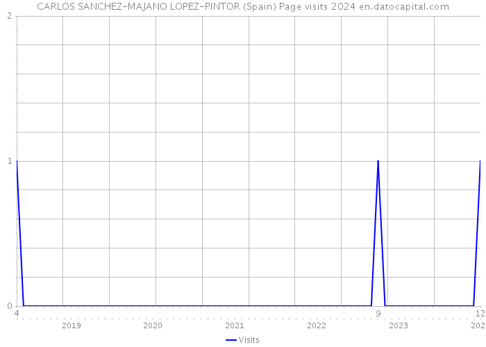 CARLOS SANCHEZ-MAJANO LOPEZ-PINTOR (Spain) Page visits 2024 