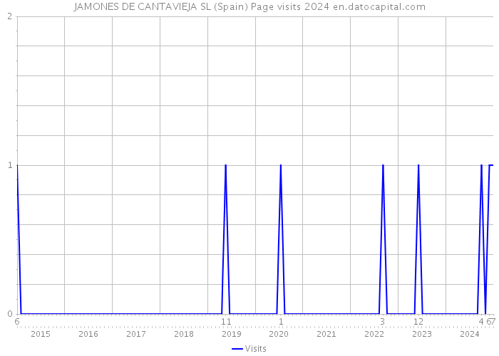 JAMONES DE CANTAVIEJA SL (Spain) Page visits 2024 
