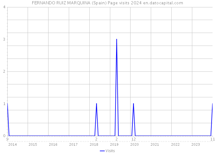 FERNANDO RUIZ MARQUINA (Spain) Page visits 2024 