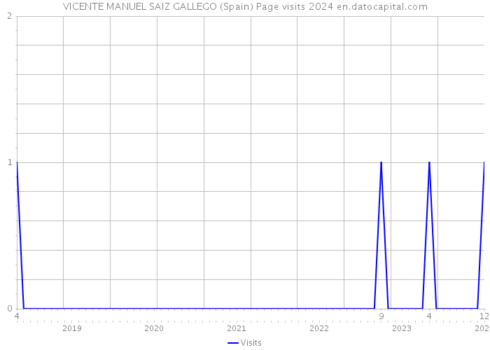VICENTE MANUEL SAIZ GALLEGO (Spain) Page visits 2024 