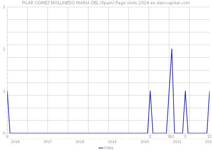 PILAR GOMEZ MOLLINEDO MARIA DEL (Spain) Page visits 2024 