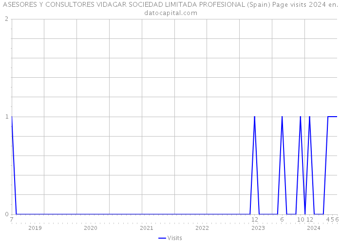 ASESORES Y CONSULTORES VIDAGAR SOCIEDAD LIMITADA PROFESIONAL (Spain) Page visits 2024 