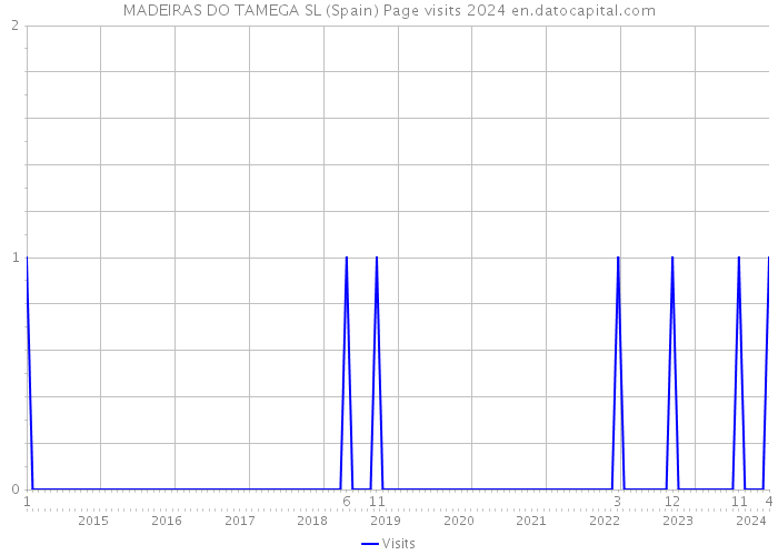 MADEIRAS DO TAMEGA SL (Spain) Page visits 2024 