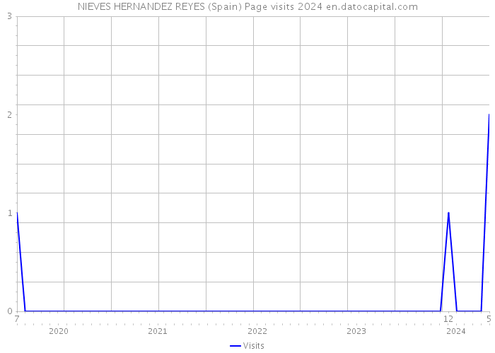 NIEVES HERNANDEZ REYES (Spain) Page visits 2024 