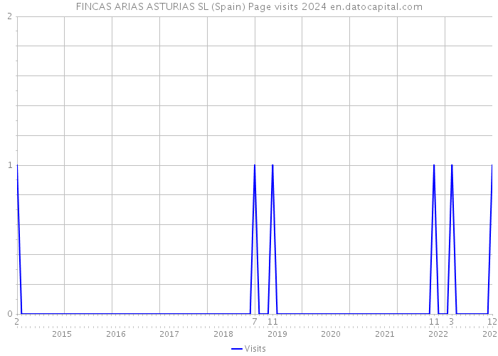 FINCAS ARIAS ASTURIAS SL (Spain) Page visits 2024 