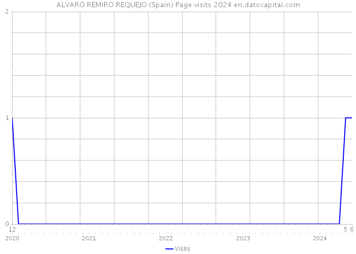 ALVARO REMIRO REQUEJO (Spain) Page visits 2024 