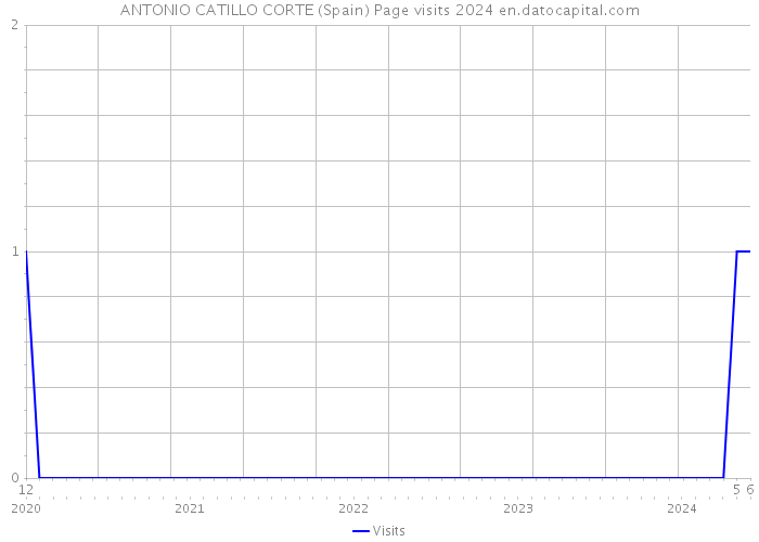 ANTONIO CATILLO CORTE (Spain) Page visits 2024 