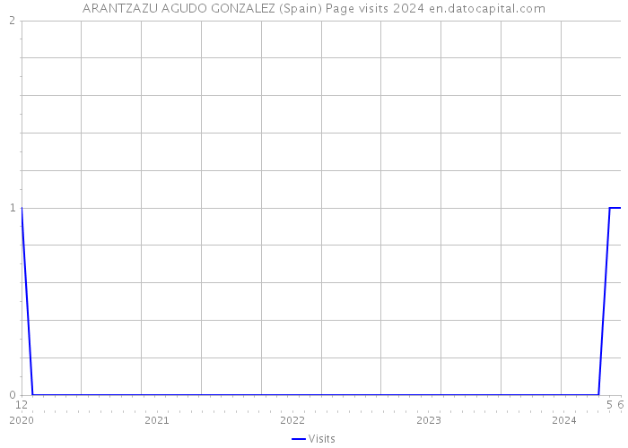 ARANTZAZU AGUDO GONZALEZ (Spain) Page visits 2024 