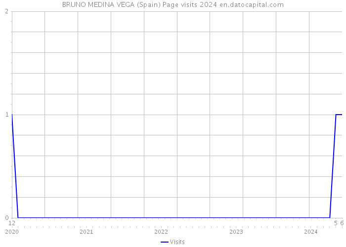 BRUNO MEDINA VEGA (Spain) Page visits 2024 