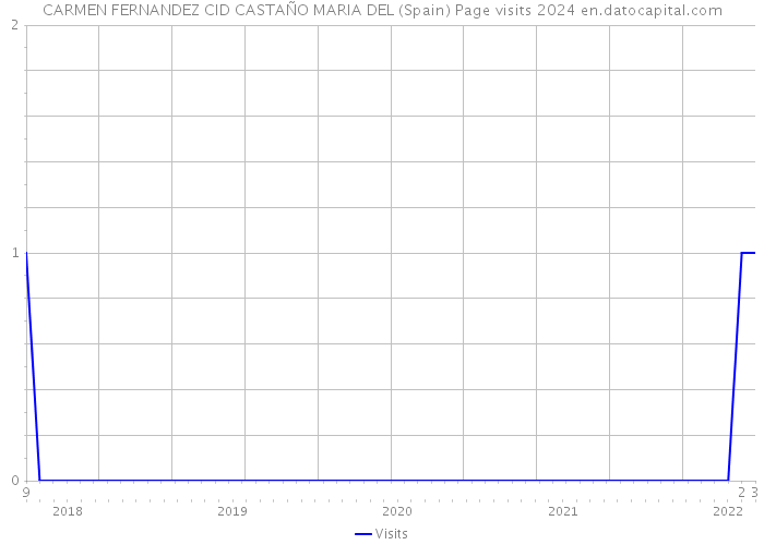 CARMEN FERNANDEZ CID CASTAÑO MARIA DEL (Spain) Page visits 2024 