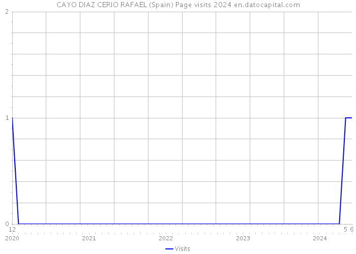 CAYO DIAZ CERIO RAFAEL (Spain) Page visits 2024 