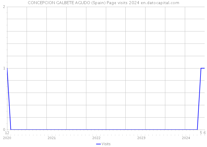 CONCEPCION GALBETE AGUDO (Spain) Page visits 2024 
