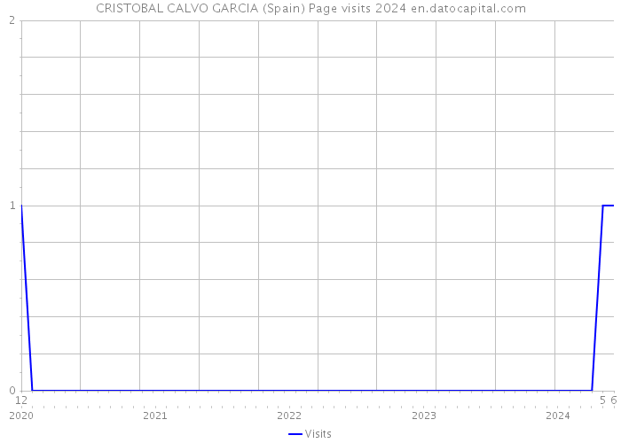 CRISTOBAL CALVO GARCIA (Spain) Page visits 2024 