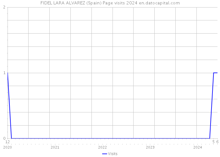 FIDEL LARA ALVAREZ (Spain) Page visits 2024 