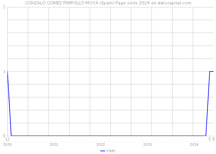 GONZALO GOMEZ PIMPOLLO MOYA (Spain) Page visits 2024 