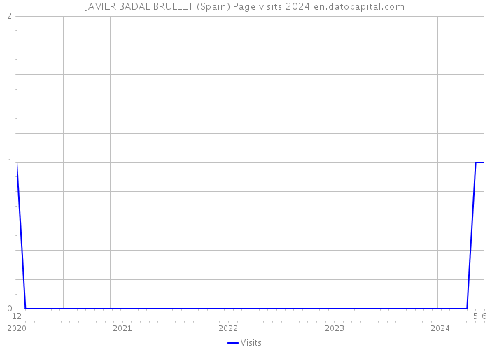 JAVIER BADAL BRULLET (Spain) Page visits 2024 