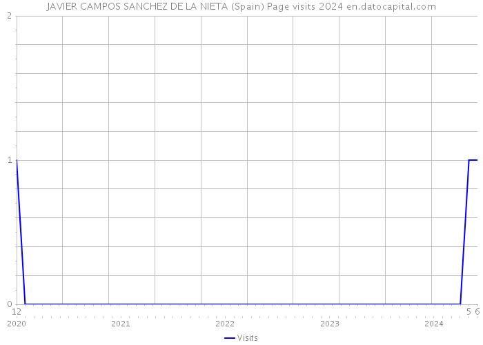 JAVIER CAMPOS SANCHEZ DE LA NIETA (Spain) Page visits 2024 