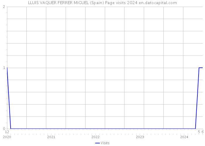 LLUIS VAQUER FERRER MIGUEL (Spain) Page visits 2024 