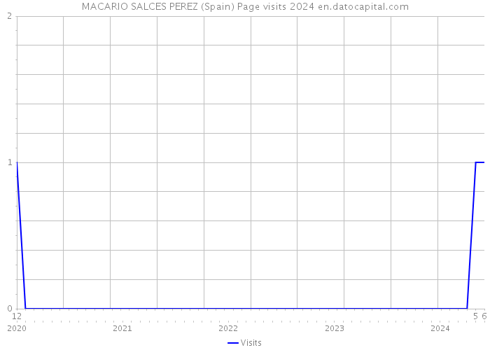 MACARIO SALCES PEREZ (Spain) Page visits 2024 