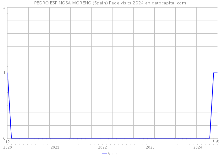 PEDRO ESPINOSA MORENO (Spain) Page visits 2024 