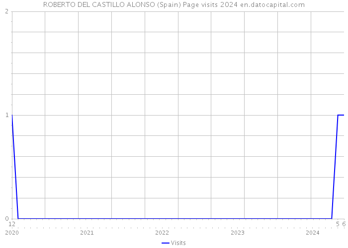 ROBERTO DEL CASTILLO ALONSO (Spain) Page visits 2024 