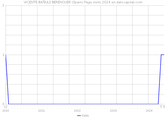 VICENTE BAÑULS BERENGUER (Spain) Page visits 2024 