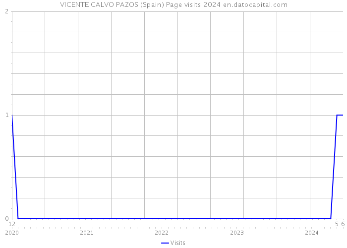 VICENTE CALVO PAZOS (Spain) Page visits 2024 