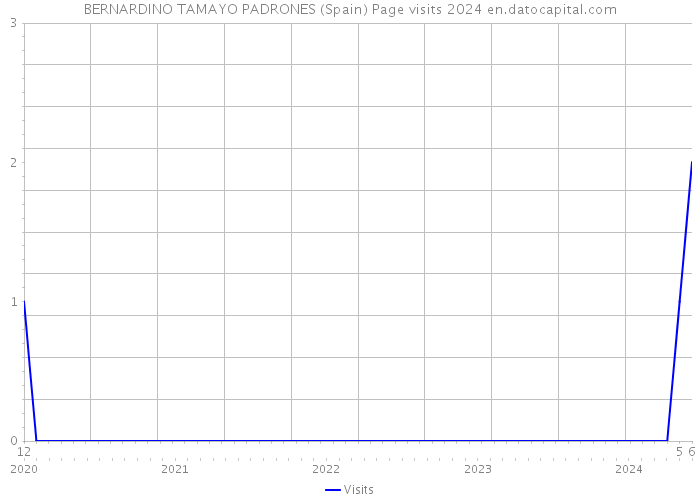 BERNARDINO TAMAYO PADRONES (Spain) Page visits 2024 