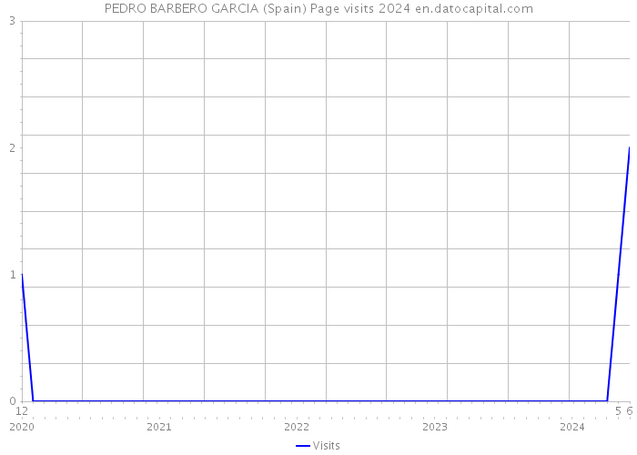 PEDRO BARBERO GARCIA (Spain) Page visits 2024 