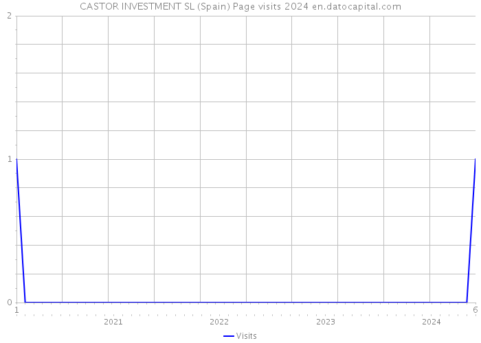 CASTOR INVESTMENT SL (Spain) Page visits 2024 