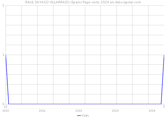 RAUL SAYAGO VILLARRAZO (Spain) Page visits 2024 